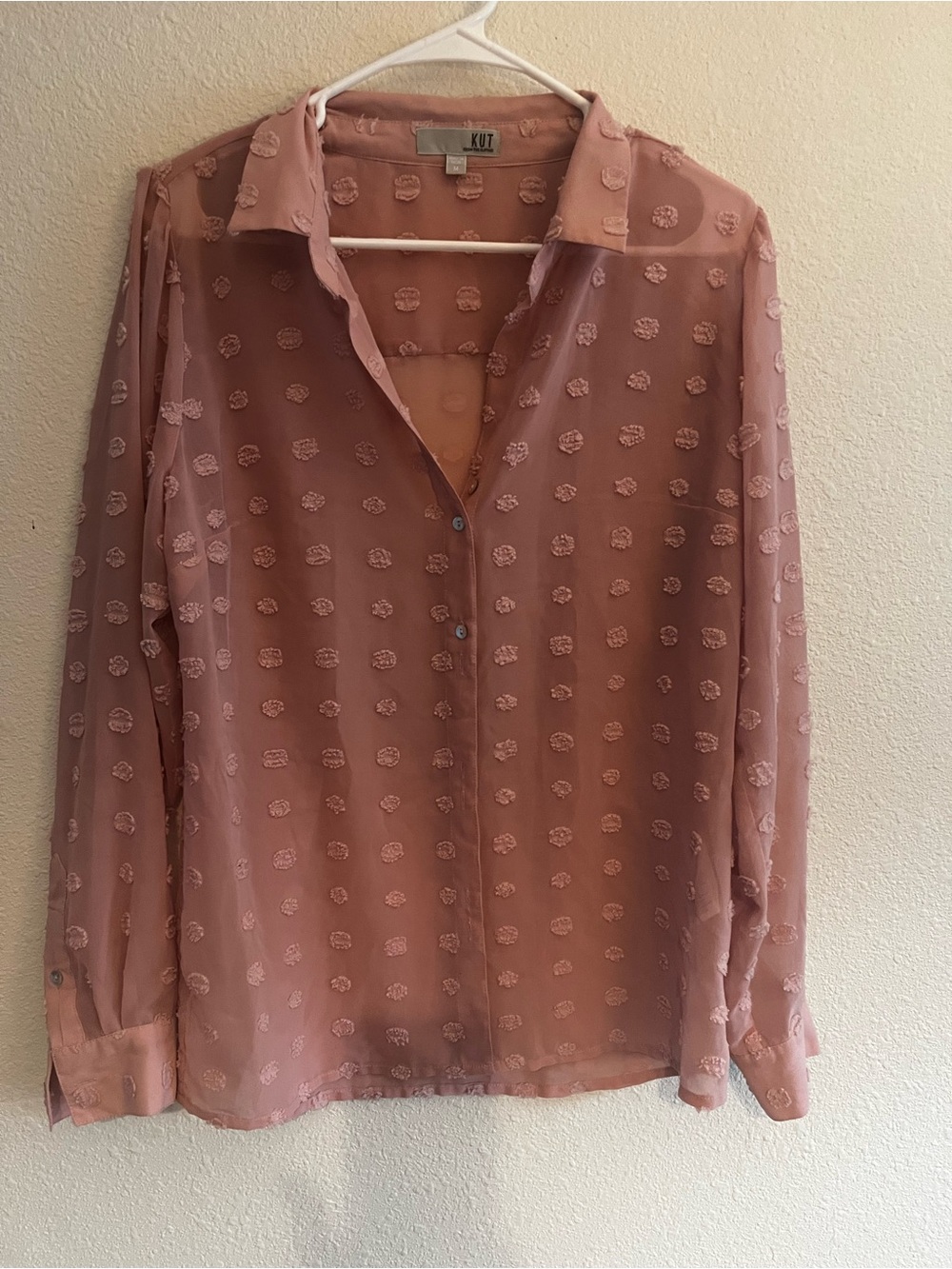 Kut from the Kloth Blush Pink Sheer Button-Down Blouse.  M